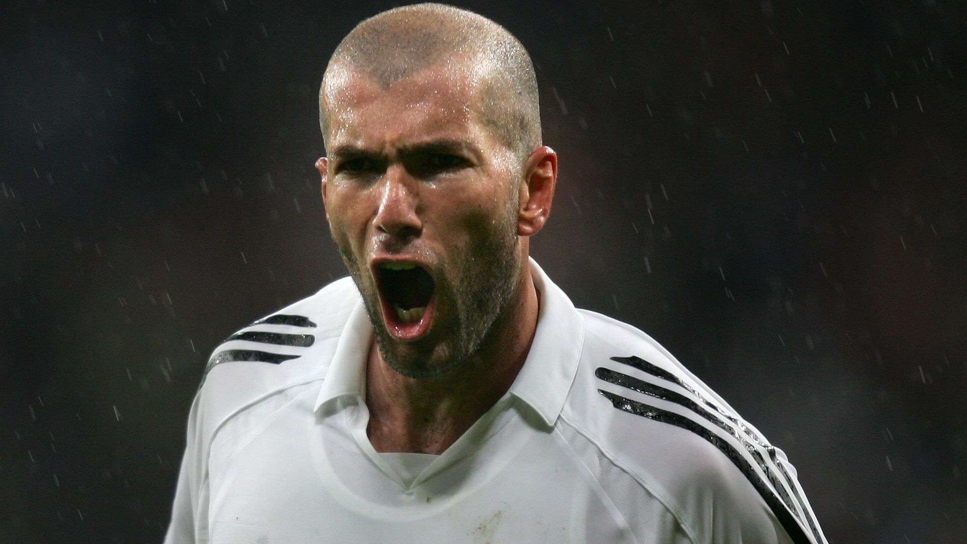 绝对主角 绝对主角