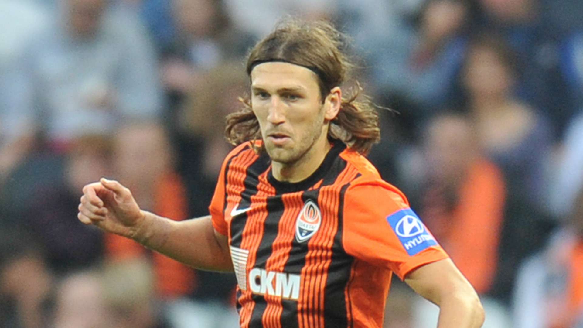 分体现了李 分体现了李